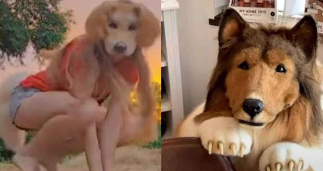 kopek olmak icin servet harcayan japon adama yeni rakip cikti 8FCyIAq9