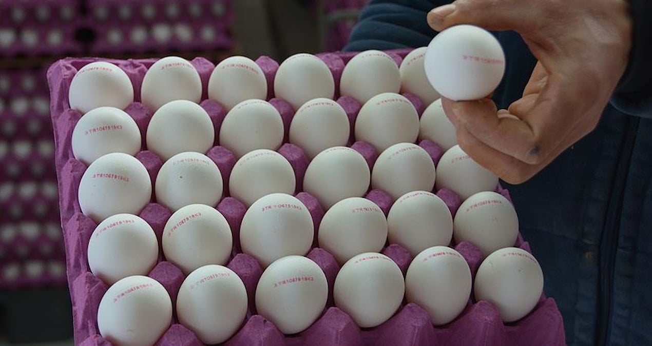 stoklayin uyarisi yapilmisti yumurta fiyatlarina zam geldi 9fV49j71