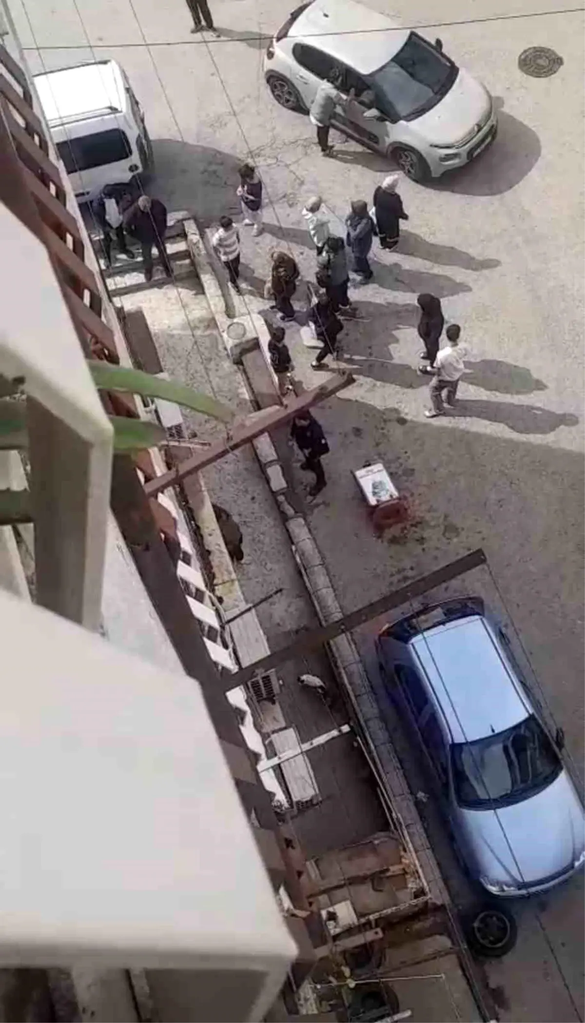 bursada petshopta taciz iddiasi 8mlayesN