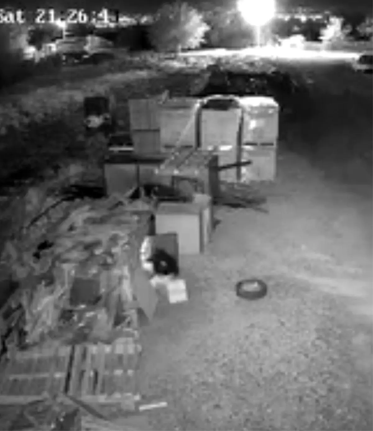 elazigda guvercin hirsizligi guvenlik kamerasinda BG6OXjZ8.jpg