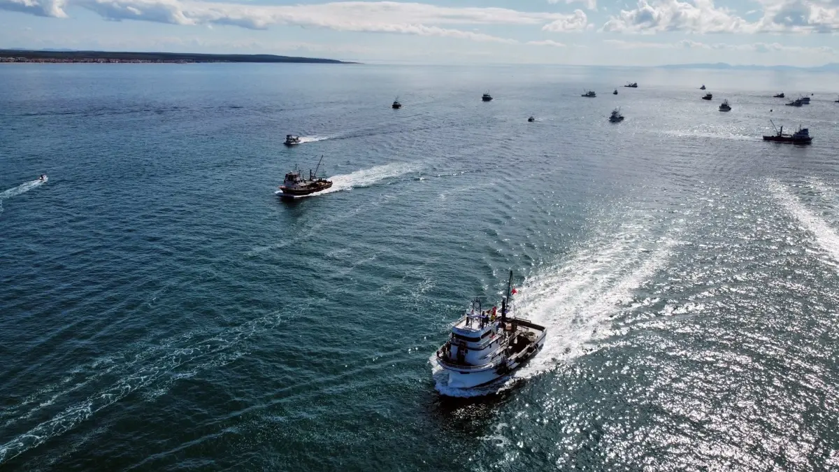 enezde sumud filosuna destek gosterisi ZsazHkmu