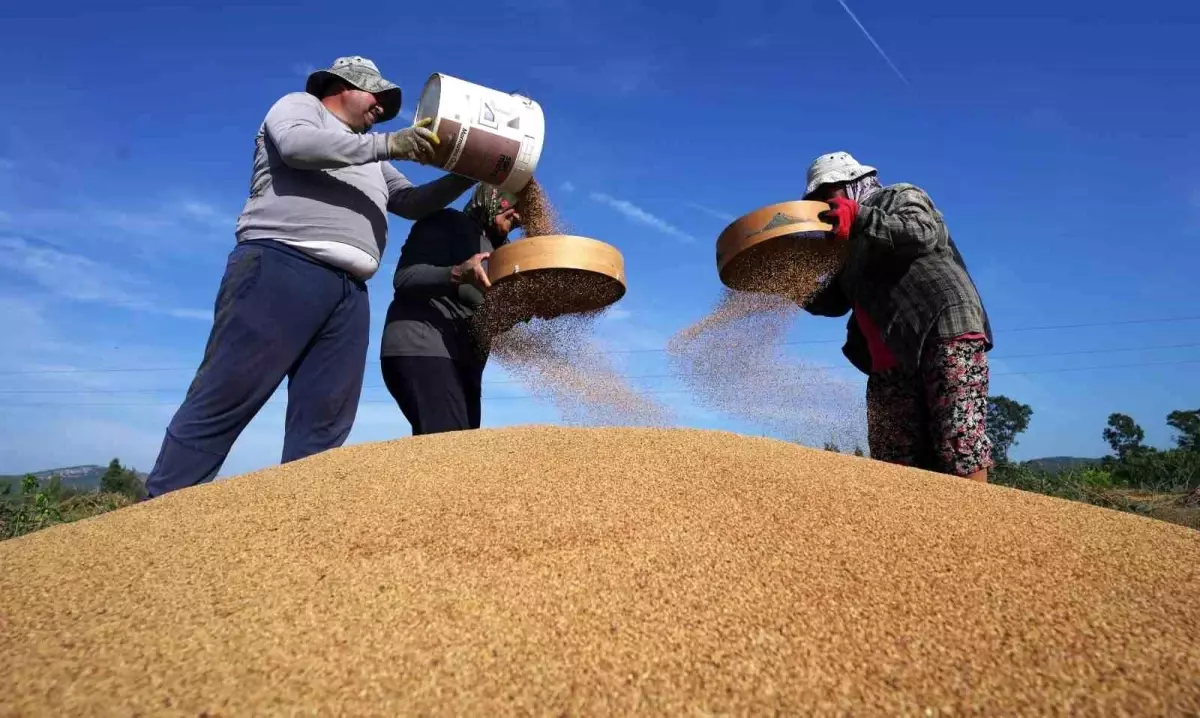 gokova susami hasadi tamamlaniyor OfgPcyhR