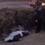 inegolde genc adamin cesedi bulundu 8zr1yQxR.jpg