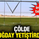 cinden-colde-tarim-hamlesi-bugday-uretimi-yayiliyor-3aE9ry1y